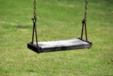What is the Best Lawn Fertilizer in 2024