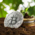 5 Ways to Know if Your Bookmaker Is Legal or Not