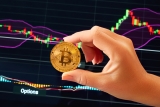 The Online Guide to Bitcoin Trading You Will Need