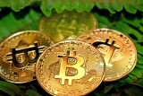3 Reasons Why Bitcoin Transaction Fees Are so High