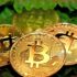 What are Bitcoin Scams and Types of Bitcoin Scams