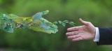 7 Ways to Make Your Business Greener in 2024