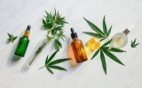 What CBD and How Does it Benefit You? – 2024 Guide