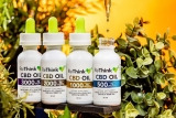 A Natural Approach to Better Health: What Are the Health Benefits of CBD? – 2024 Guide