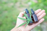 How to Make CBD Oil – Beginners Guide to CBD Extractions 2024