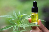 What Are CBD E-liquids And How Are They Made – 2024 Guide