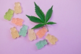 What Is the Shelf Life of CBD Gummies?