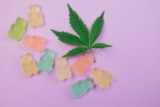 What Is the Shelf Life of CBD Gummies? 