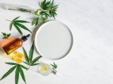 How to Keep Your Cannabis Products Fresh? – 2024 Guide