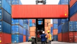 Cargo Coverage 101: Legal Tips for Safeguarding Your Valuable Shipments (2024)