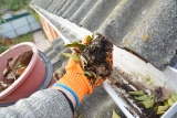 5 Things That Can Clog Gutters and How to Deal – 2024 Guide