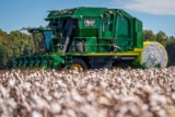 Cost-Effective Upgrades for Your Cotton Harvester