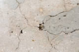 A Crack in the Foundation: Why You Need a Building Inspector on Your Side