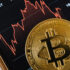 Profitable Portfolios: Cryptocurrency Trading Tools and Tips for Diversification