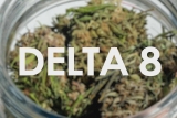 What Types Of Delta 8 Are THC Products Available? – 2024 Guide