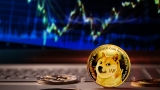 8 Most Undervalued Cryptocurrencies to Buy in 2024