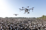 9 Tips and Regulations to Know When Travelling With a Drone