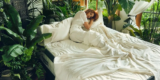 Creating A Healthy Bedroom Environment: The Role Of Eco-Friendly Mattresses