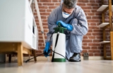 Eco-Friendly Pest Control: Protecting Your Home and the Environment (2024)