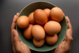 Choosing the Best Egg Washing Machine: Your Comprehensive Guide