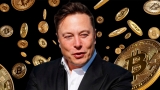Is Elon Musk The Bitcoin’s Biggest Influencer – 2024 Guide