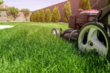 5 Pieces of Equipment You Need to Maintain Your Yard