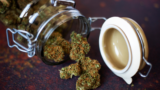 Trim CBD: The Ultimate Guide To Understanding What It Is And How It Can Help You