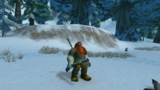 General Guide for Hunter Leveling for WotLK Classic