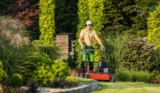 Low-Maintenance Grasses ─ The Best Choices for Busy Gardeners