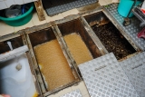 The Difference Between Good And Bad Quality Grease Traps – 2024 Guide