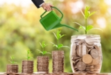 Beyond the Basics: Advanced Techniques for Growing Your Investment Knowledge