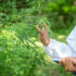 The Role of Suboxone in Overcoming Opioid Addiction