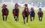 5 Horse Racing Betting Terms Every Beginner Needs To Know – 2024 Guide