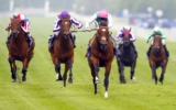 5 Horse Racing Betting Terms Every Beginner Needs To Know – 2024 Guide
