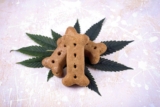 How CBD Dog Treats Can Help Ease Anxiety in Pets