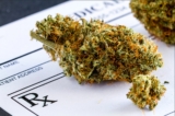 How Much THC Is in Delta 8