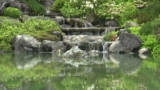 How to Incorporate Water Features into Your Landscape Design