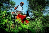 Lawn Care Equipment That You Should Know About in 2024