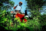 Lawn Care Equipment That You Should Know About in 2024