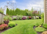 Lawn and Yard Maintenance and Gardening Tips