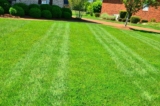 Lawn Care Services in the USA – 2024 Guide