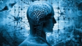 Learn Faster, Remember Longer: Proven Tips and Strategies for Effective Learning