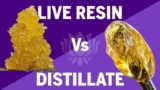 Live Resin vs. Distillate – Why the Right Device Setup Matters