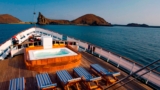 Unveiling the Exquisite Delights of Luxury Cruises in the Galapagos