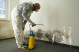 5 Useful Mold Remediation and Recovery Tips For House Owners