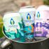 Why Beauty Enthusiasts Choose Low Sugar Vegan Protein Bars