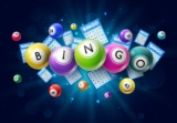 From Novice To Pro: Tips And Strategies For Successful Online Bingo