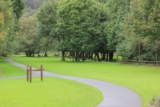 Organic Lawn Care – Best Tips for 2024