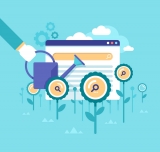 Five Ways To Increase Organic Traffic