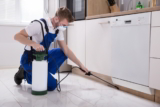Pest Control Services: Find the Best Company to Handle Your Pest Issue